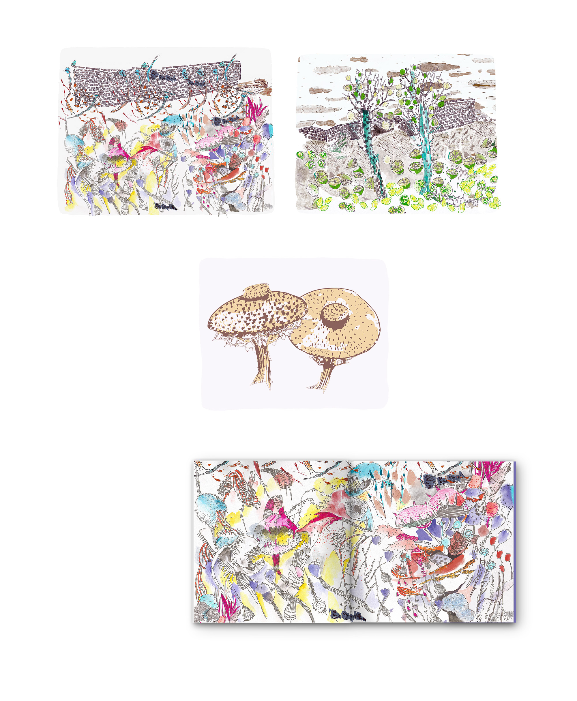 2-garden_3