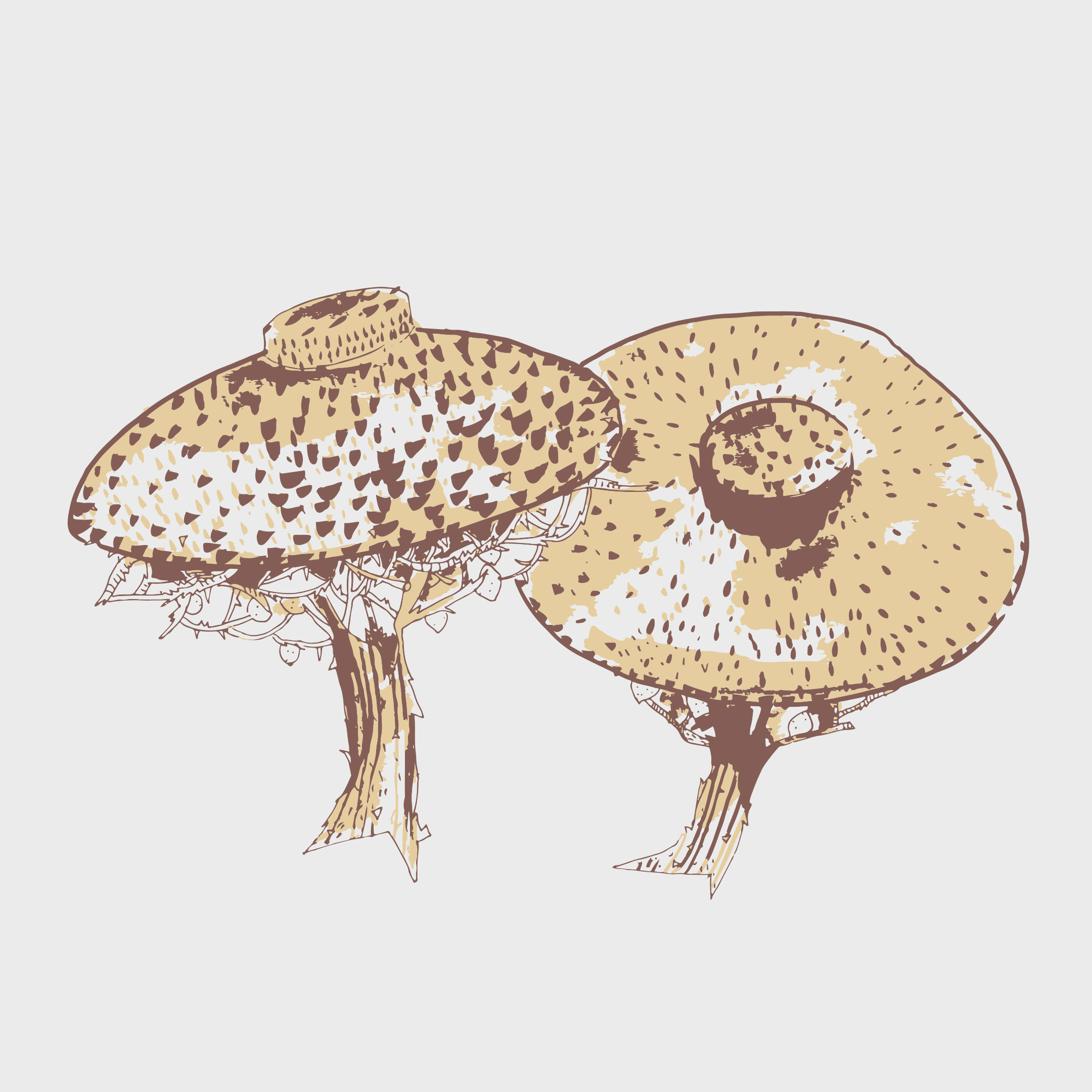 hat-trees