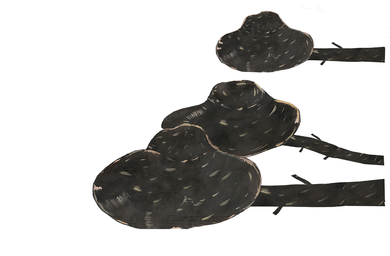 hats-4
